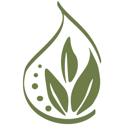 L'essence des Sens